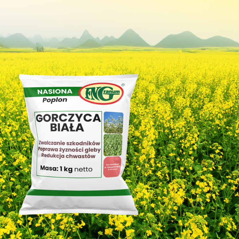 Nasiona Gorczycy Białej na Poplon 1 kg