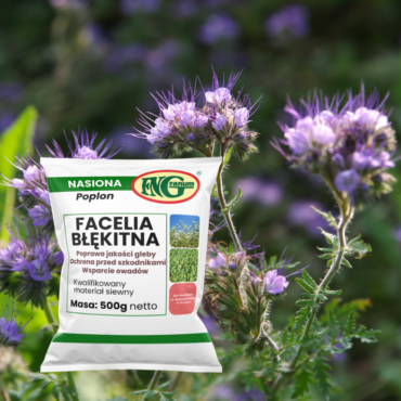 facelia