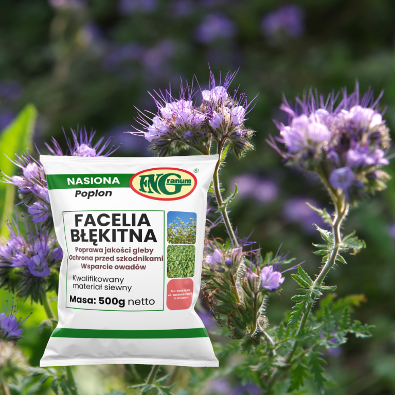 facelia