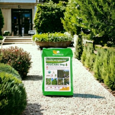 nawóz do drzewek iglastych