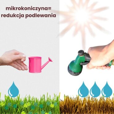 trawa z mikrokoniczyną na tereny suche