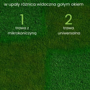 trawa z mikrokoniczyną na tereny suche