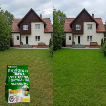 Trawa Renowacyjna 5kg ReviGrass