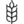 Nasiona na poplon