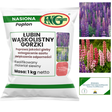 Nasiona Łubinu na Poplon - Opakowanie 1kg