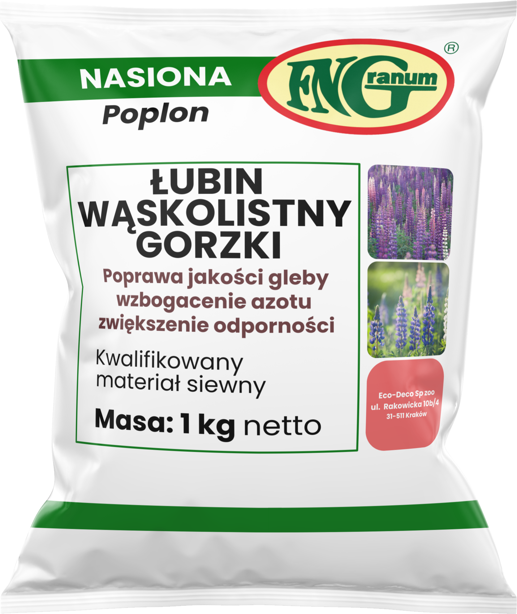 łubin wąskolistny