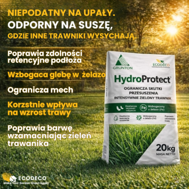 nawóz do trawnika na suszę