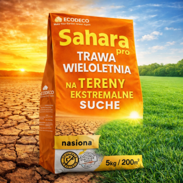 Sahara Pro Trawa Odporna na Suszę 5 kg – mieszanka wieloletnia
