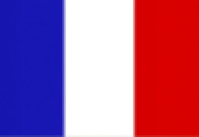 Screenshot 2025-01-09 at 10-18-40 Multilanguage-guidelines.pdf