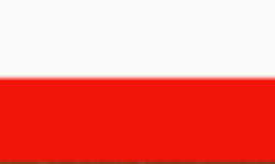 Screenshot 2025-01-09 at 10-19-25 Multilanguage-guidelines.pdf