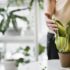 Jak urządzić mały balkon? 5 pomysłów na funkcjonalną i stylową przestrzeń